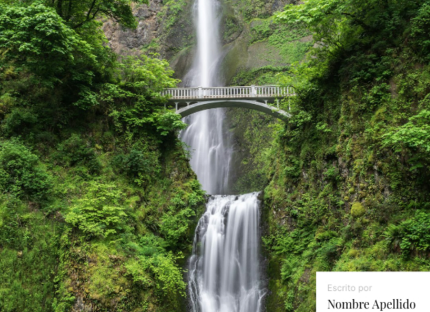 Cascada rodeada de vegetación con un puente blanco que cruza por encima.